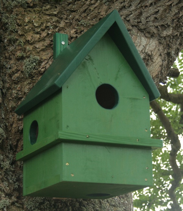 Eichhörnchenkobel Eichhörnchenkobel – Bild 2