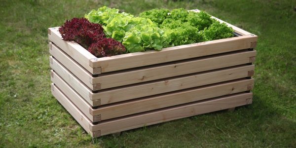 Wannenbeet mit Salat bepflanzt